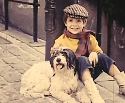 Wild Nothing - "Chinatown" Video