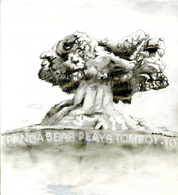 Panda Bear Tomboy Album Art