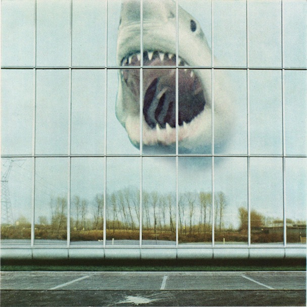 Black Mountain Wilderness Heart Album Art