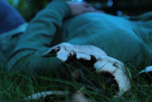 Gold Panda - "Snow & Taxis" Video