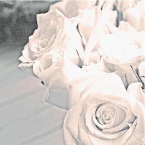 Korallreven - "Honey Mine"