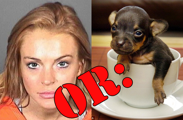 Lindsay Lohan New Mugshot