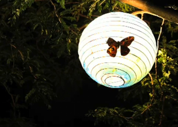 The Acorn Restoration Video