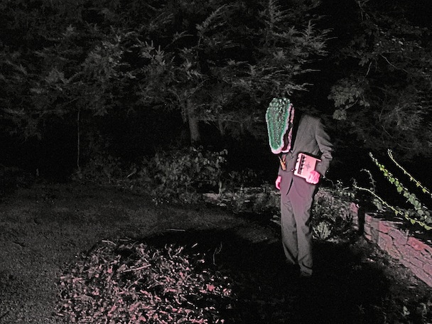 Avey Tare Down There Video