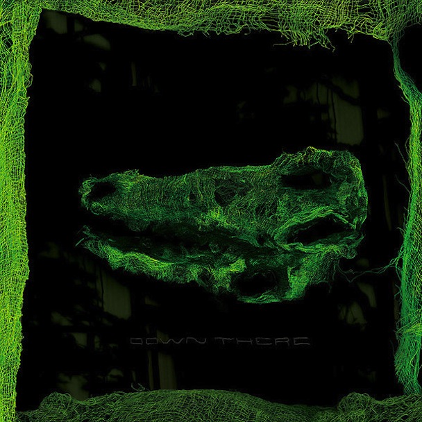 Avey Tare Down There Premature Evaluation