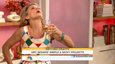 Amy Sedaris Today Show