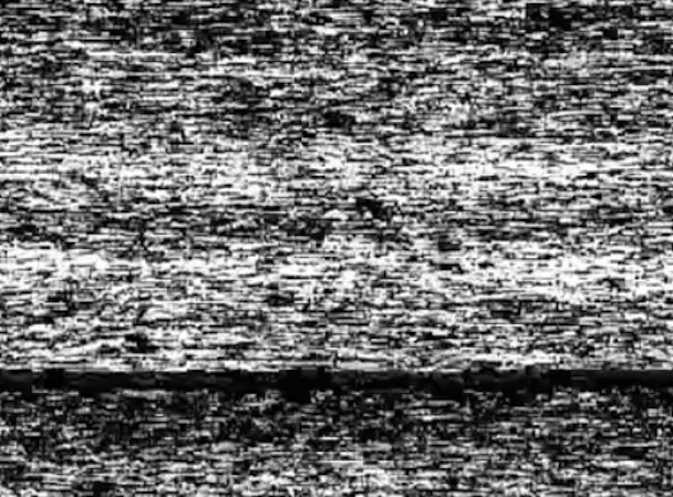 Balam Acab See Bird Sun Video