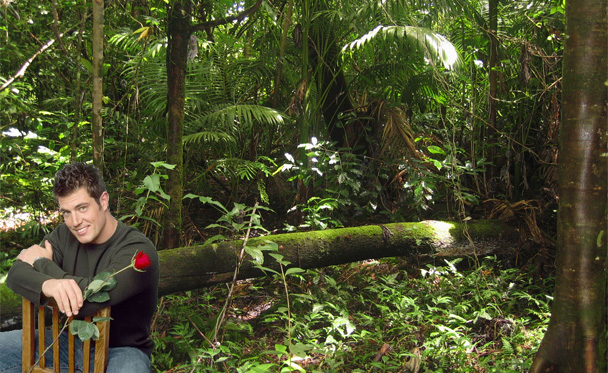 Love in the Wild