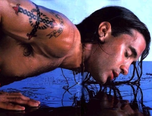 Not Even Wolves Are Having This Shit