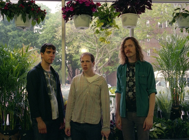 Silk Flowers Promo Photo 2010
