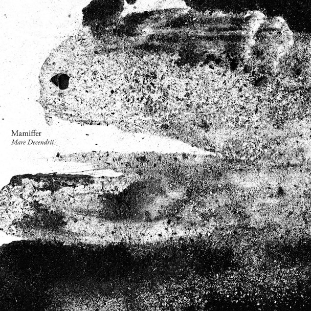 Mamiffer - Mare Decendrii Mamiffer - Mare Decendrii