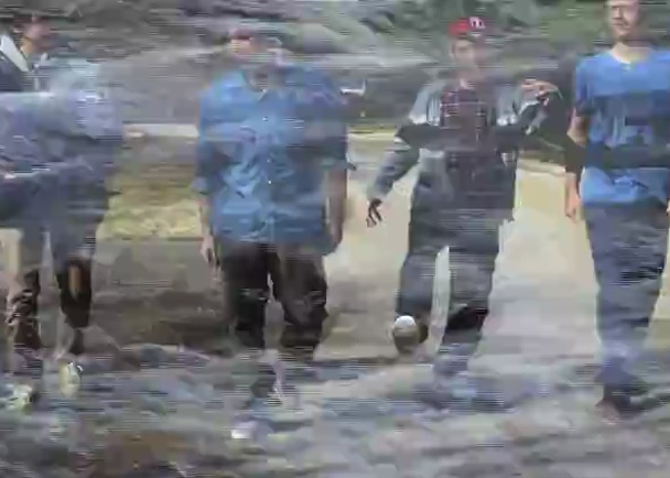 Hear New Animal Collective