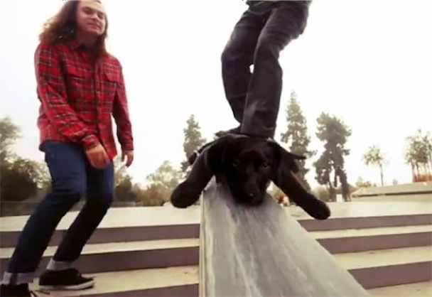 DANIELS Best Videos Of The Week