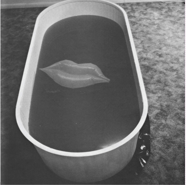 Pure Ecstasy - You're In It Now