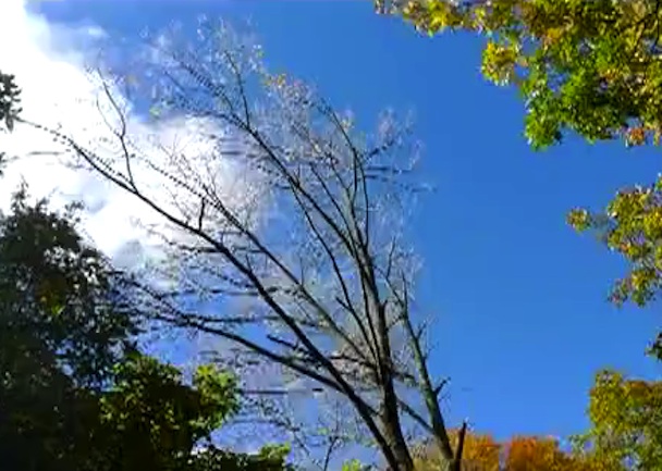 Locrian Elevations And Depths Video