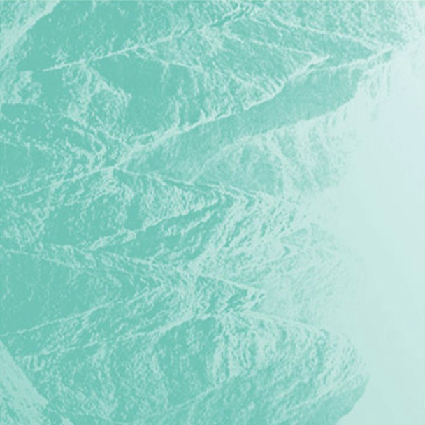 Lambchop - Turd Goes Back