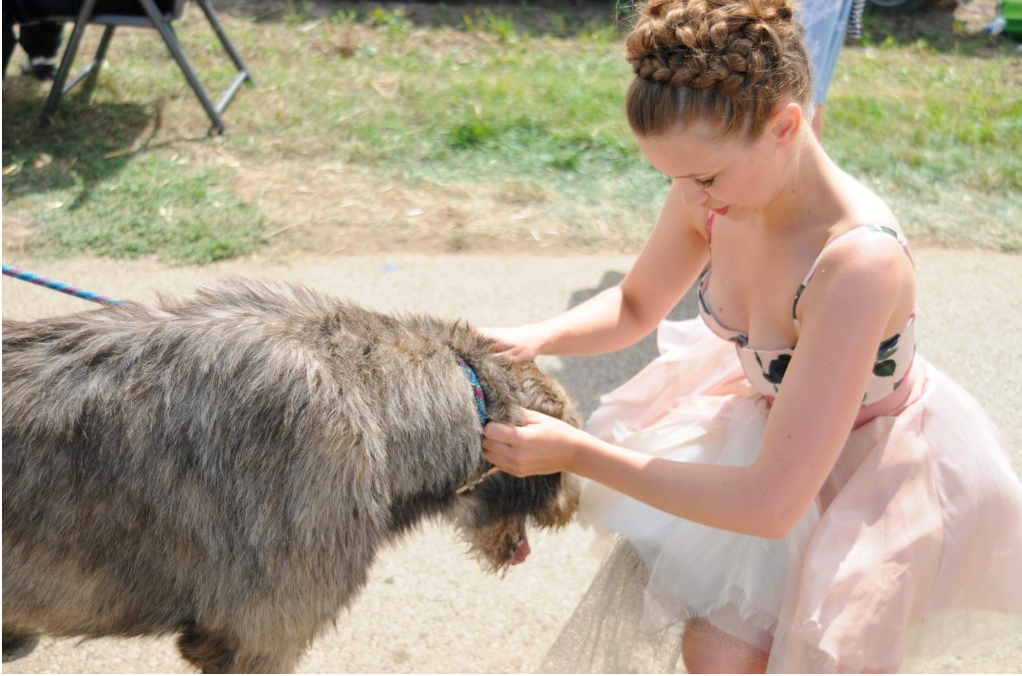 Joanna Newsom Pets A Dog