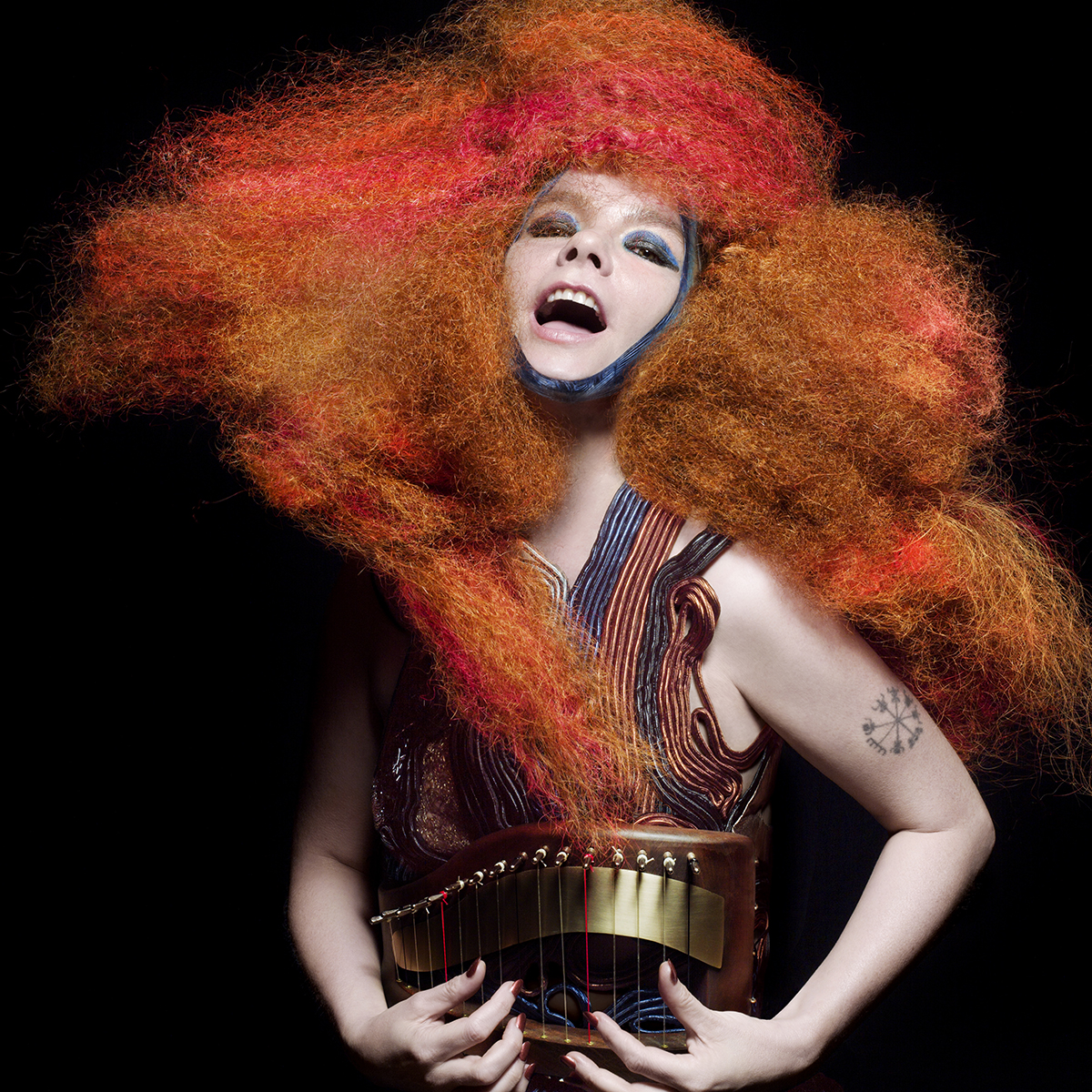 Bjork 2011