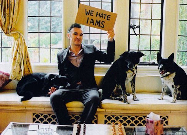 Moz Attacked By Dog
