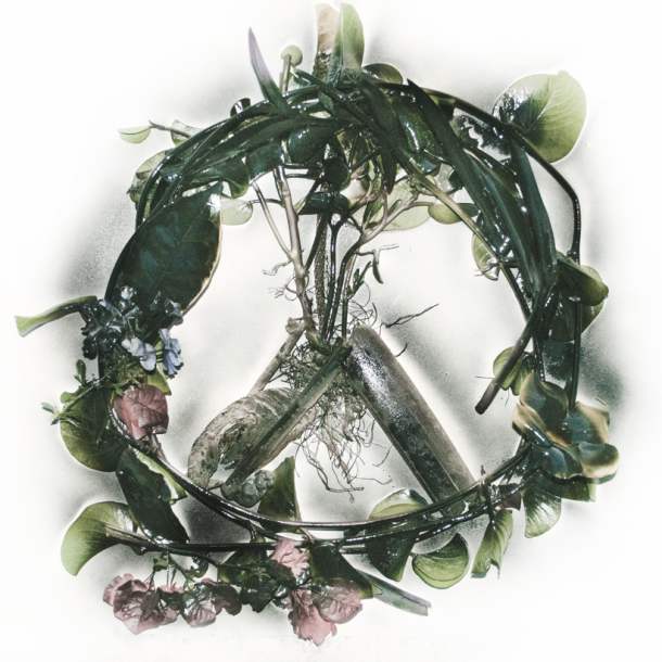 Wise Blood - These Wings