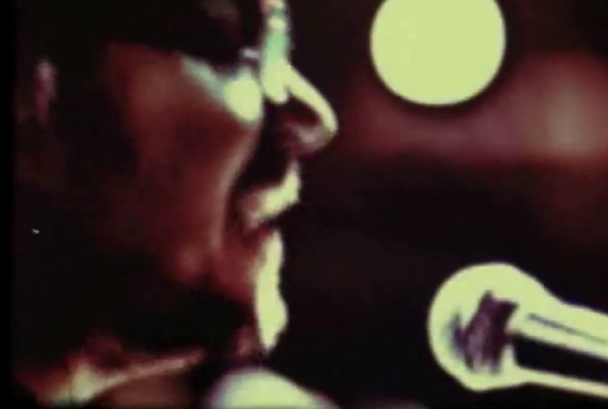 Wilco - "Born Alone" Video