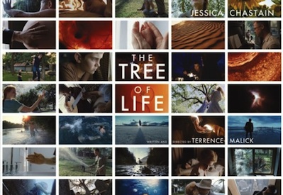 thetreeoflife