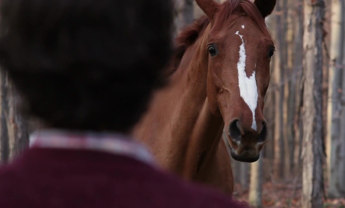 Nat Baldwin - "Weights" Video