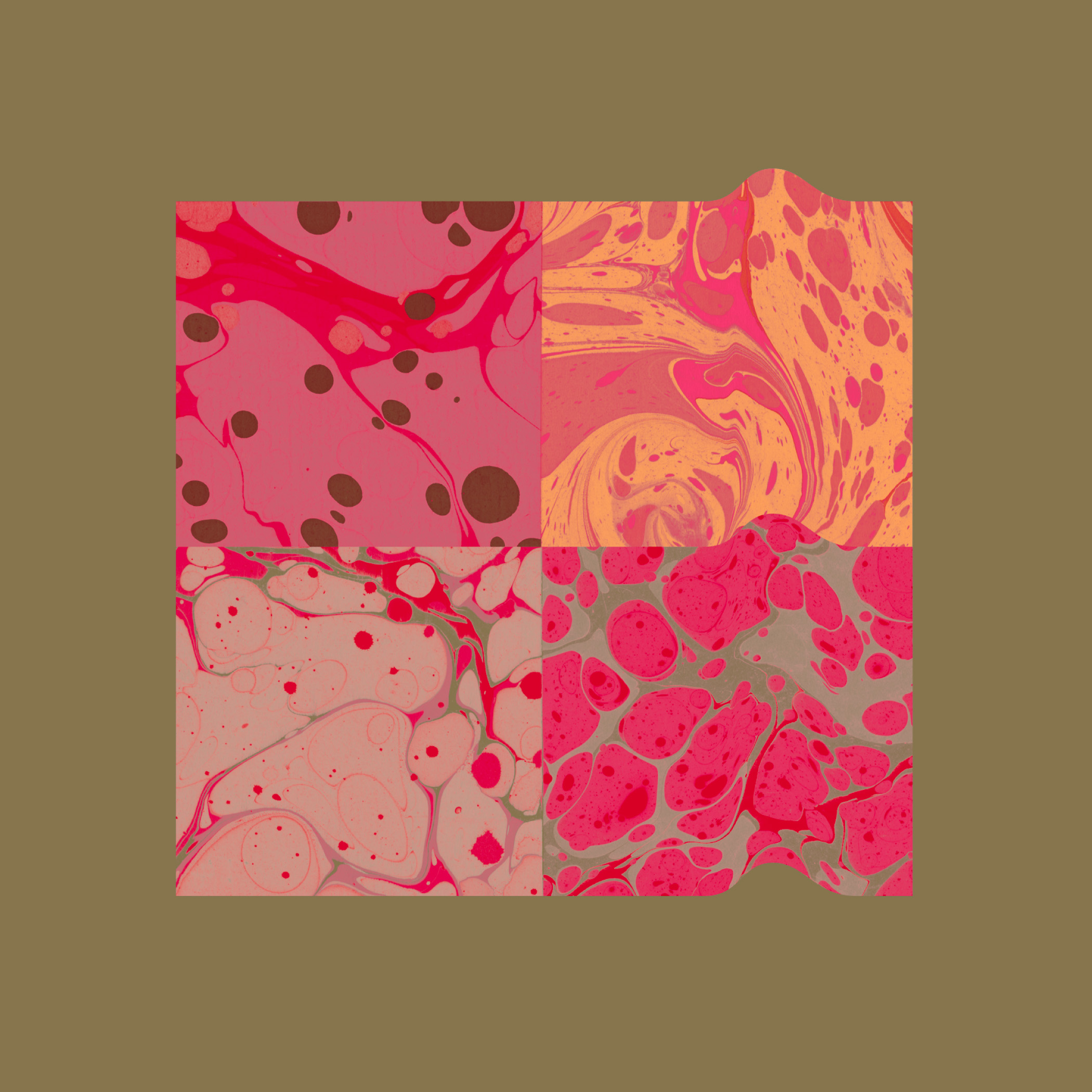 Django Django - "Storm"