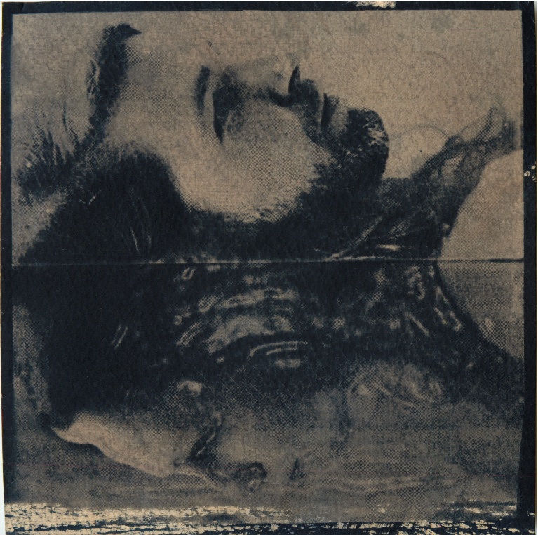 The Great American Canyon Band - "Tumbleweed"