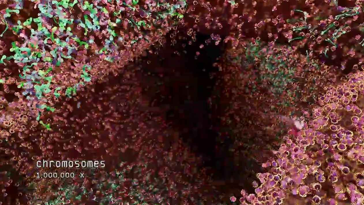 Björk - "Hollow" Video