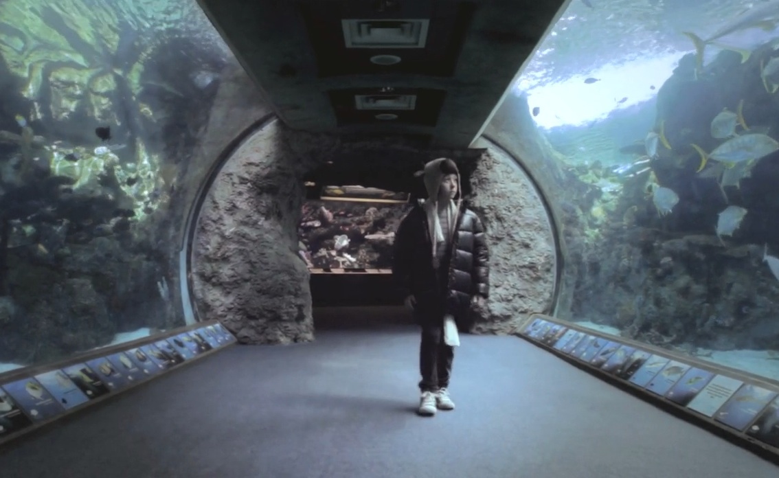 Bowerbirds - "Tuck The Darkness In" Video