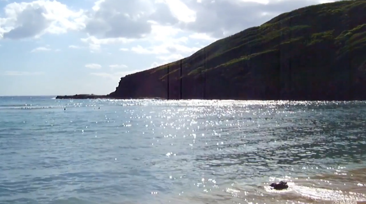 Cass McCombs - "Robin Egg Blue" Video