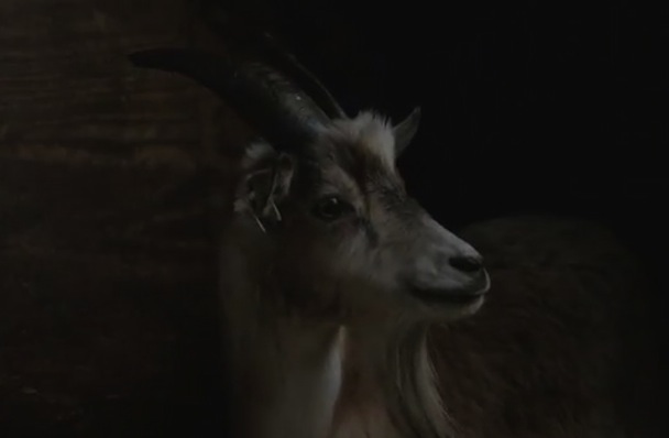 Sigur Rós - "Ég Anga" Mystery Video Version