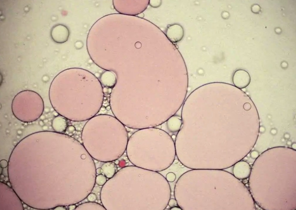 Mouse On Mars - "They Know Your Name" Video