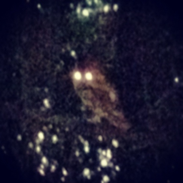 New Fumes - "Moonchild"