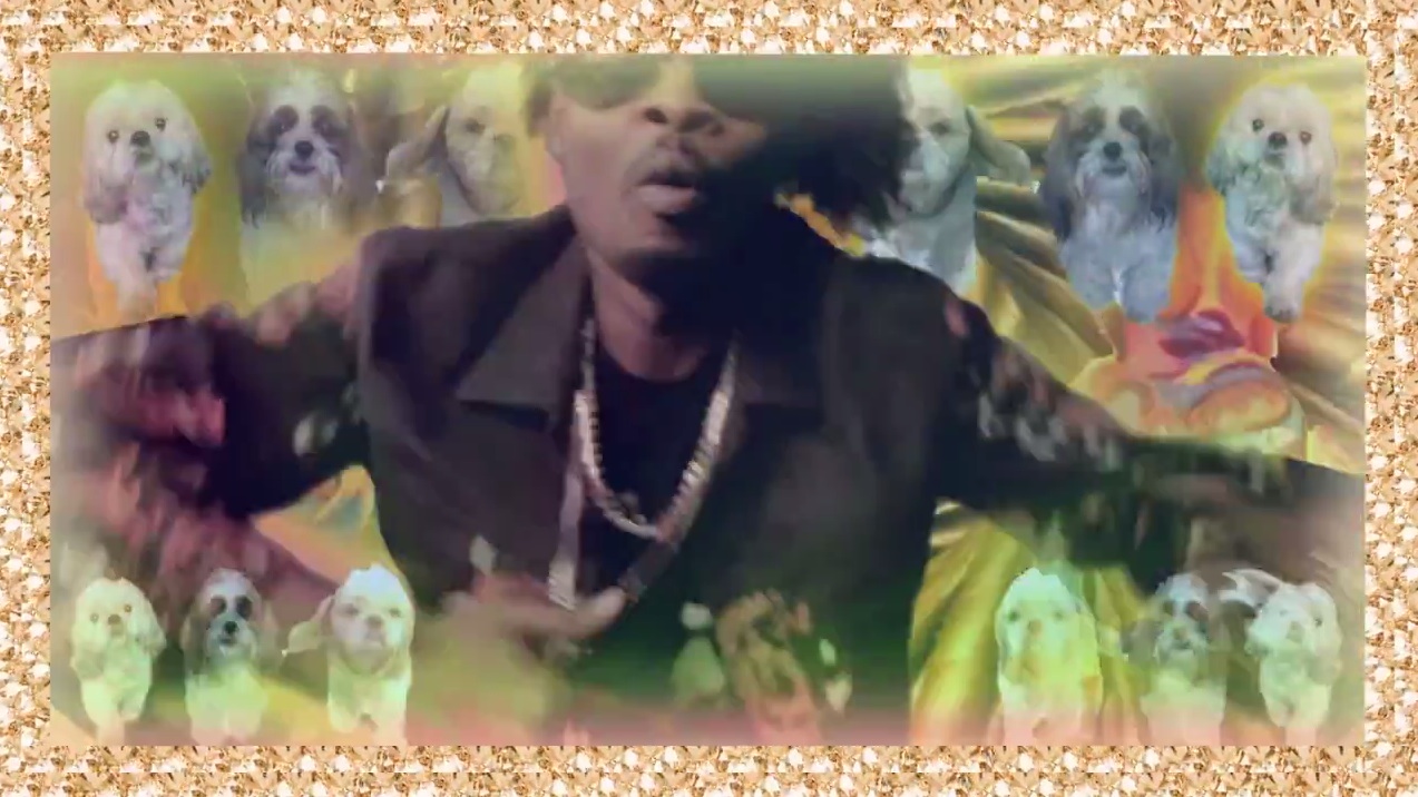 Danny Brown - "Wit It" Video