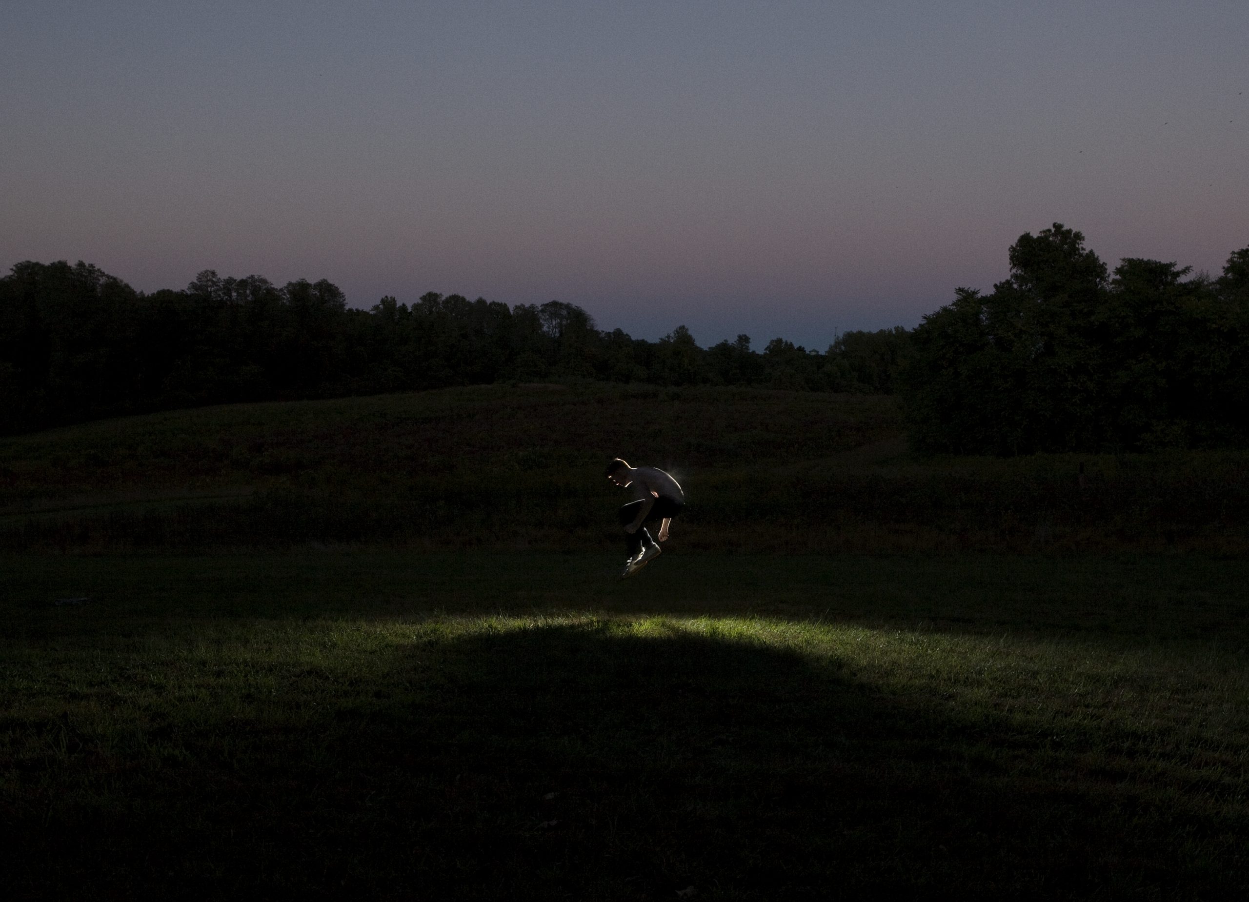 Majestyy by Noah Kalina