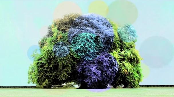 Yo La Tengo - "Before We Run"