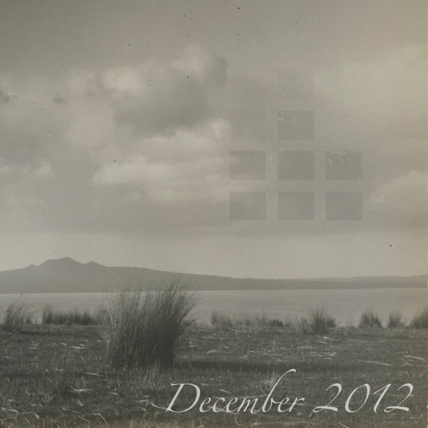 Stereogum Monthly Mix: December 2012