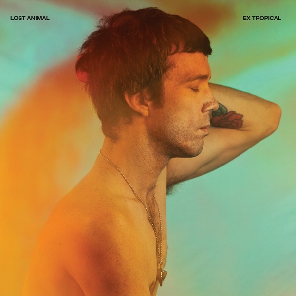 Lost Animal - Lose The Baby