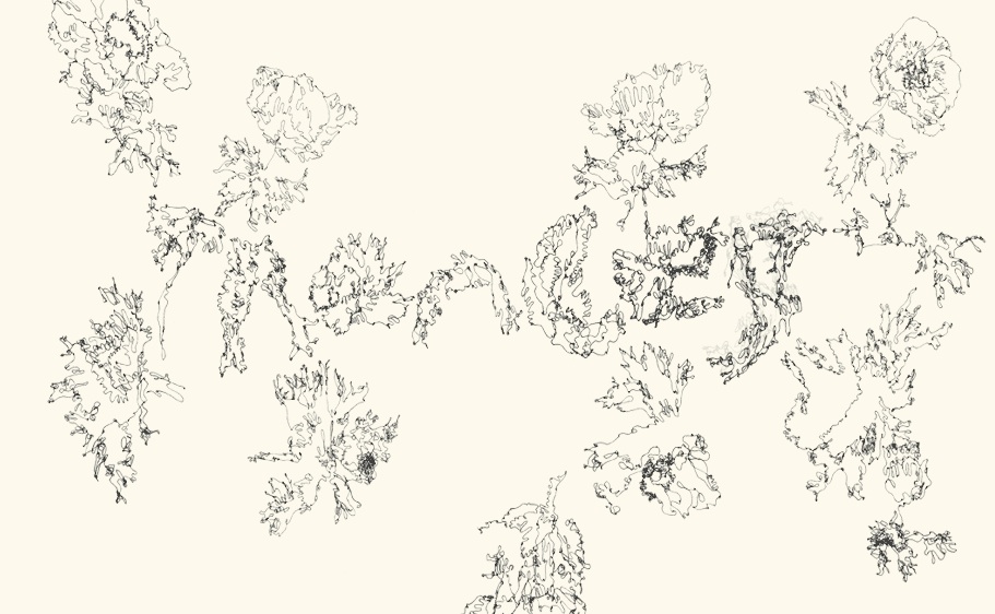 El Guincho - "Trances"