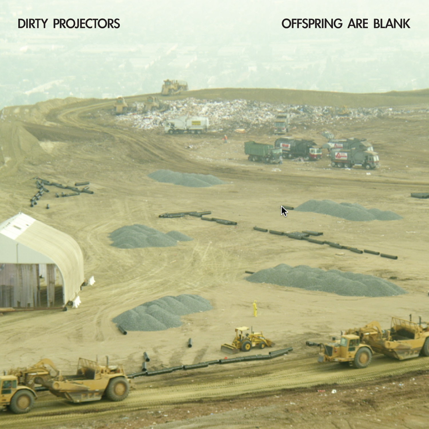 Dirty Projectors - "Offspring Are Blank"