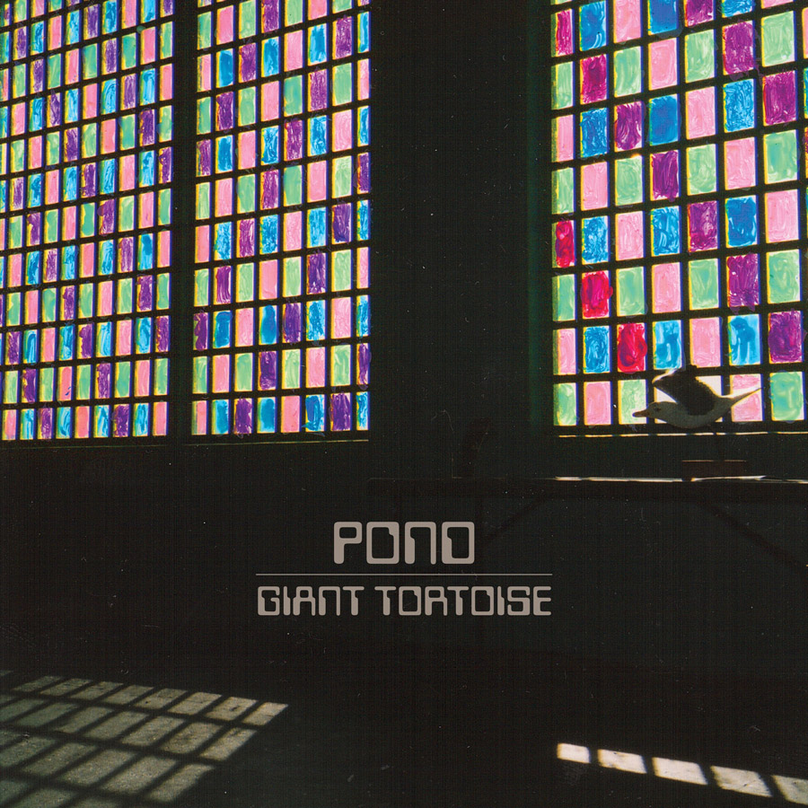 Pond - "Giant Tortoise"