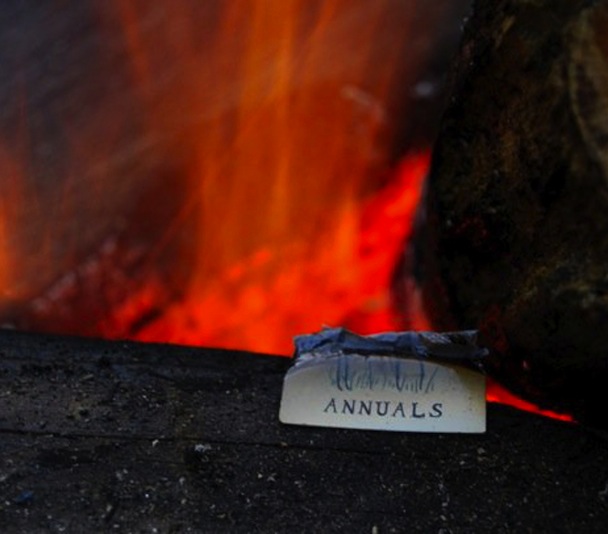 Stream Annuals Time Stamp