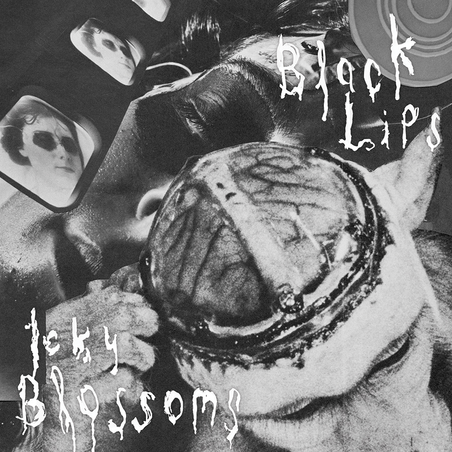 Black Lips Icky Blossoms Split