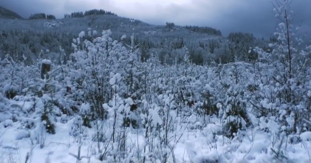 Colin Stetson - "And In Truth" video