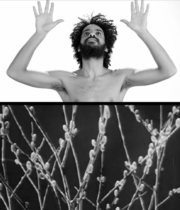 SAFE - Normal Needs Treason