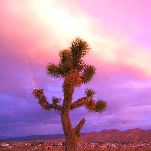 Mark McGuire - Along The Way