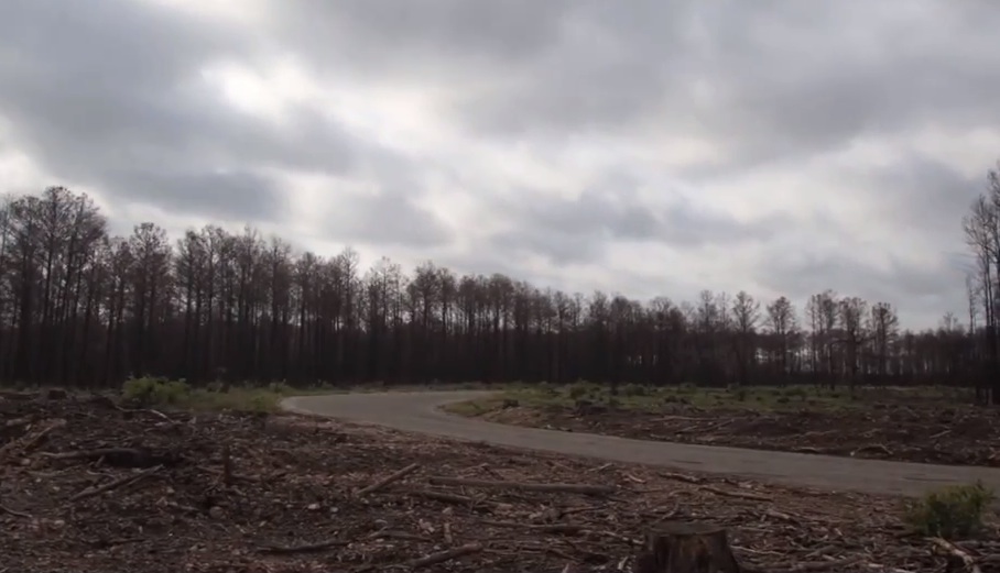 Explosions In The Sky & David Wingo - "Wading" video