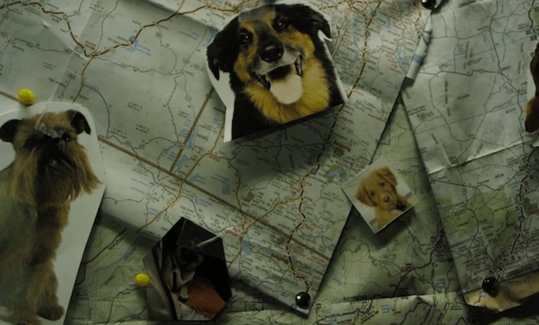 LocalNatives_YouAndI